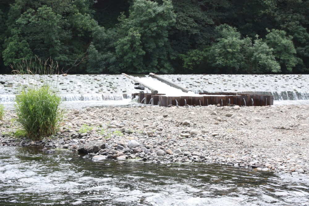Yearl Weir