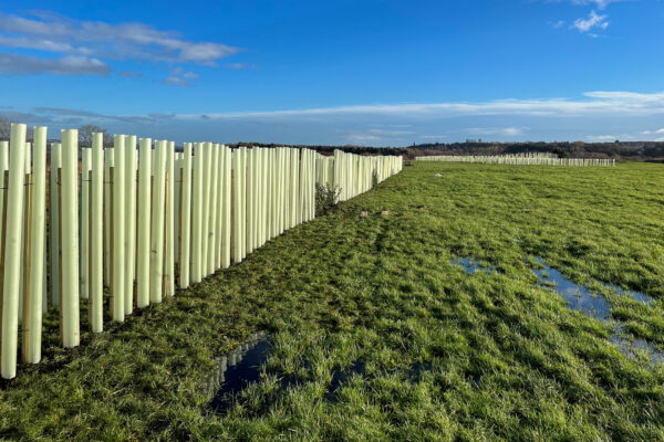 Kinneil Kurse Zone 2 - Hegerow planting - 25-01-23 -01