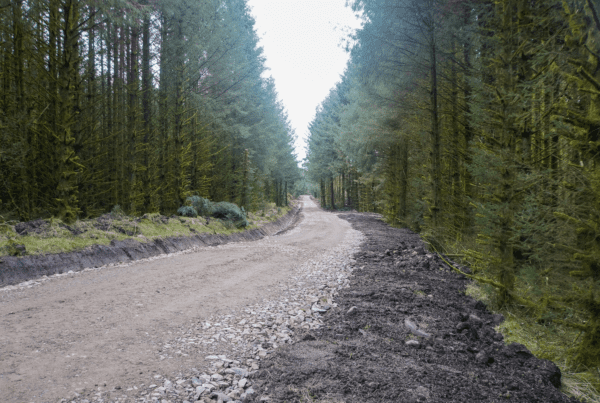 Peppermoss & Ringing Flow Forest Roads
