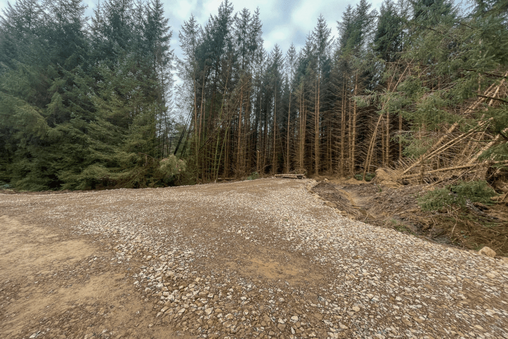 Peppermoss & Ringing Flow Forest Roads