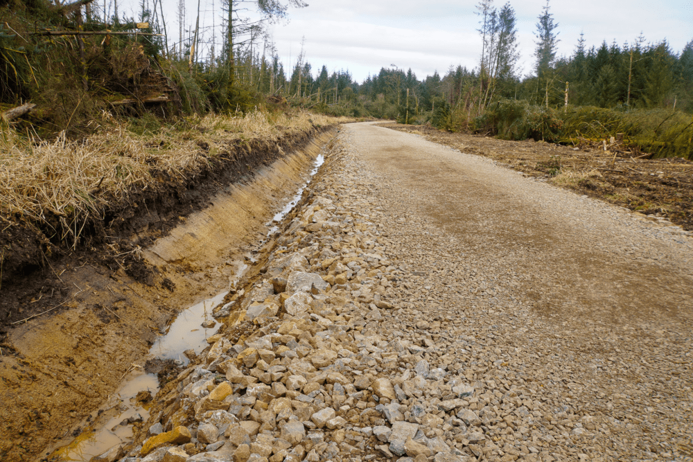 Peppermoss & Ringing Flow Forest Roads