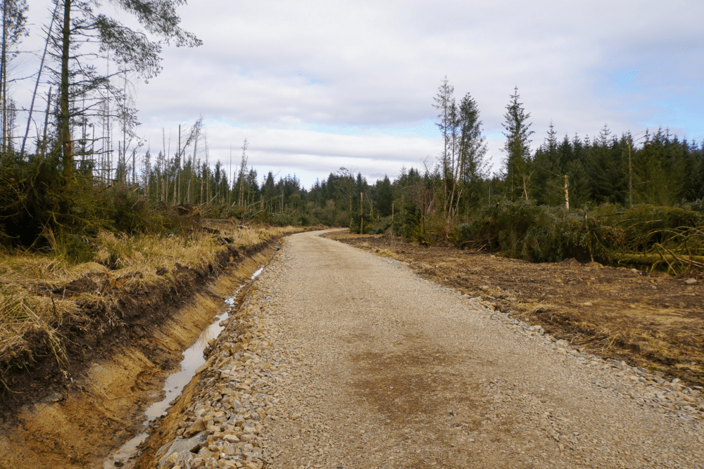 Peppermoss & Ringing Flow Forest Roads