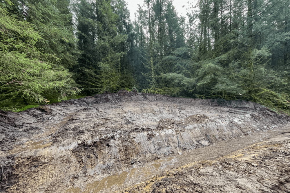 Peppermoss & Ringing Flow Forest Roads