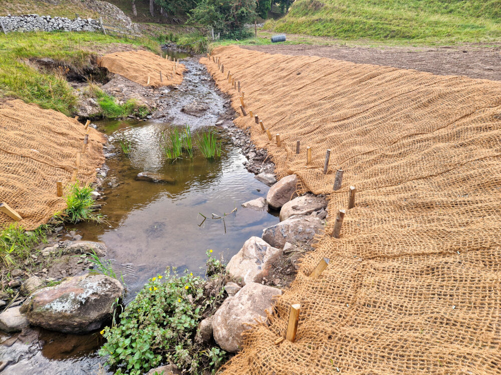 Halter Burn Weir Removal