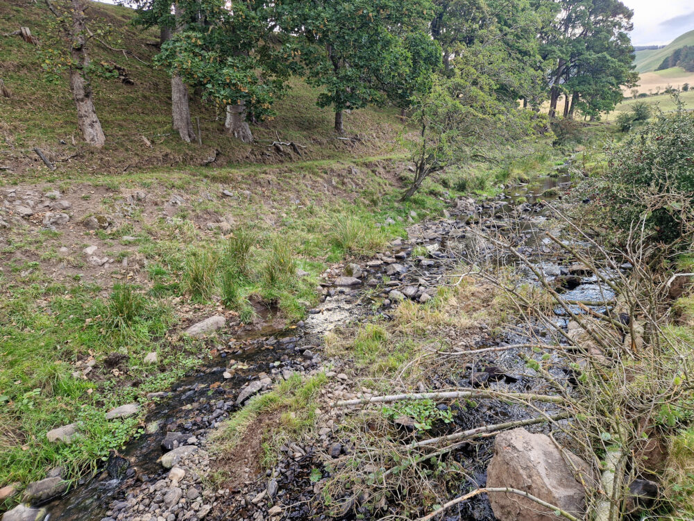Halter Burn Weir Removal