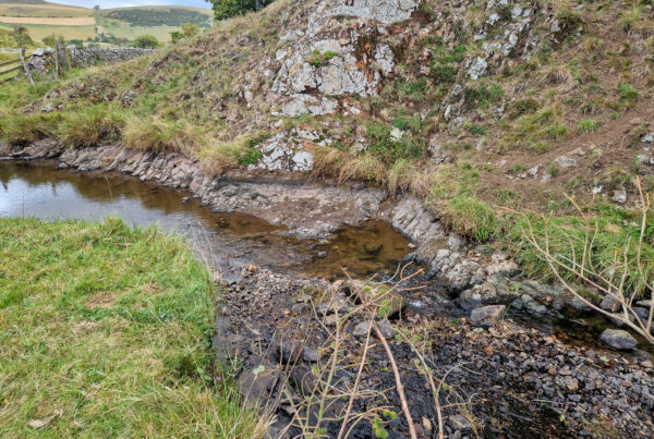 Halter Burn Weir Removal